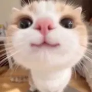 開封動画撮影　最安くん　毎日値下げしますの画像