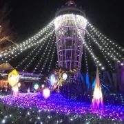 もっちの画像