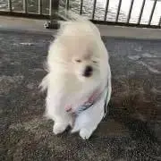 ケンタローの画像
