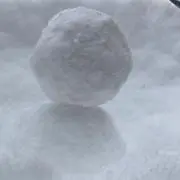 アルトの画像