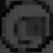 263