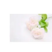 のあ（購入の際はコメントください）の画像