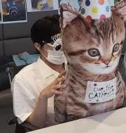ちょんちょんいの画像