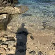 Gilの画像