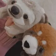 うなぎの画像