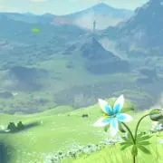 いんでぃごの画像