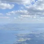 ぴっぴーの画像