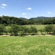 ERUZA