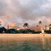 24の画像