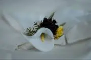 fuの画像