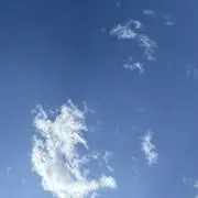 むいの画像