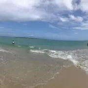 ぴんきーの画像
