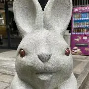 bridgedの画像