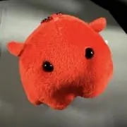 めんだこ