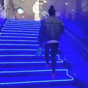 パンダ