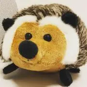 yuの画像