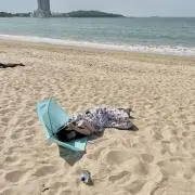dgの画像