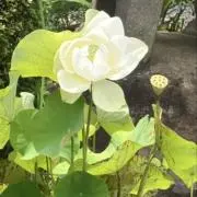 user_6d6553c8