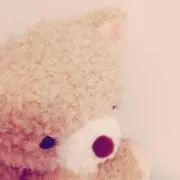 必ずプロフィールをお読み下さい