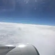 tjykの画像