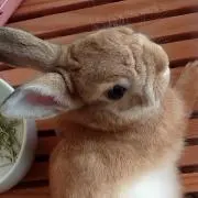 くみ