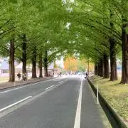 ぐりぐりの画像