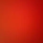 のこ