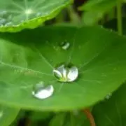 N モトコの画像
