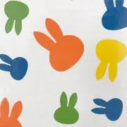 いちご929の画像