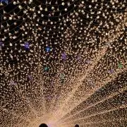 kkyの画像