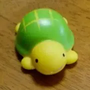 りこりんの画像