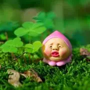 Kkkoの画像