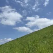 おやまの画像