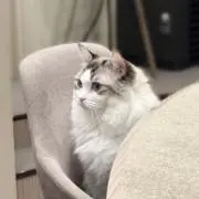 mの画像