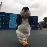 そばの画像