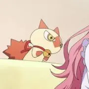 ・(即購入可)の画像