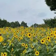 R♡の画像