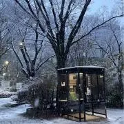 ゾロの画像