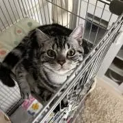 Rynsの画像