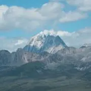 shyoの画像