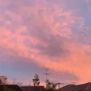 みちの画像