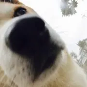 あや プロフィールお読みください