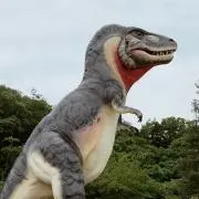 うーくんの画像