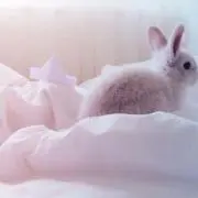 ℳ.の画像