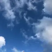 うなの画像