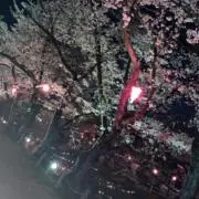 り