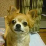 ☆みき☆