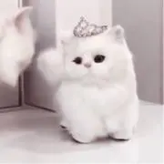 ♡の画像