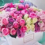 mee❤︎（プローフィール必読❤︎）の画像