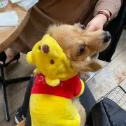 POCO